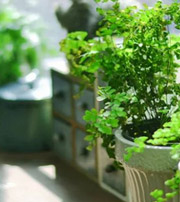 赣州专属于你的开运指南，助你鸿运当头福满身！